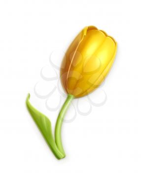 Yellow tulip, vector icon