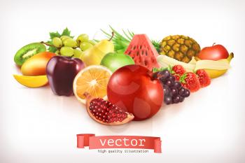 Harvest juicy and ripe fruit, vector illustration isolated on white