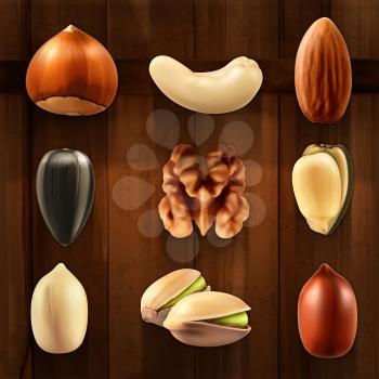 Nuts, vector icon set