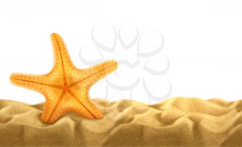 Summer background, starfish in the sand, vector illustration