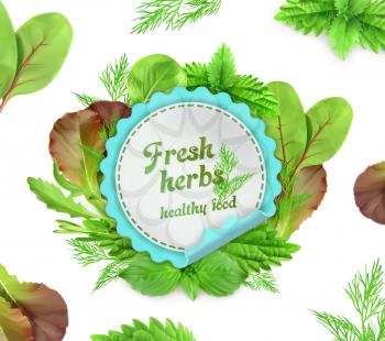 Fresh herbs, vector illustration