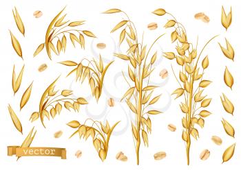 Oat plants, Rolled oats. 3d realistic vector icon set