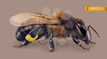Bee. 3d realistic vector icon