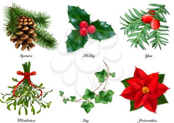 Plants, Christmas decorations. Spruce, holly, yew, mistletoe, ivy, poinsettia. 3d realistic vector set