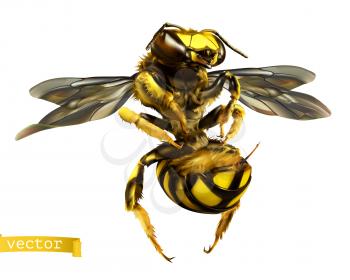Wasp. 3d realistic vector