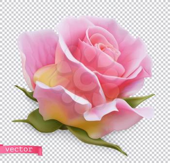Pink rose 3d realistic vector object