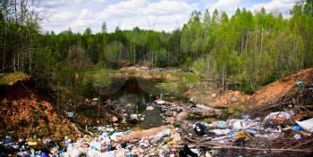 Garbage dump in green forest. Wide shot.