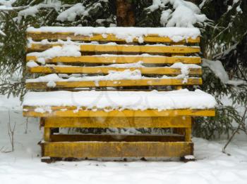 Hoared bench in the winter park.