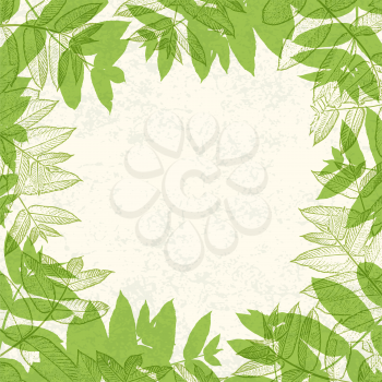 Green leaves frame on paper texture. Vector illustration, EPS10.