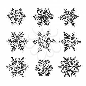 Macro-structure of real snowflakes, transformed and drawn as ornamental usable shapes. Set of nine forms.