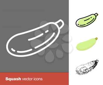 Squash vector icons. Thin line, flat, and hand drawn styles