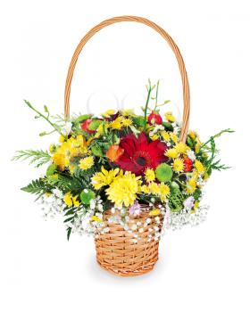 colorful flower bouquet arrangement centerpiece in a wicker gift basket isolated on white background