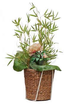 Flower arrangement of peon flower, lotus leaf and twigs of bamboo isolated on white background.