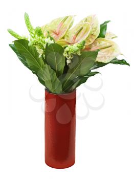 Bouquet from anturiums in red vase isolated on white background.