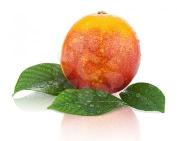 Blood orange with green leaves isolated on white background. Closeup.