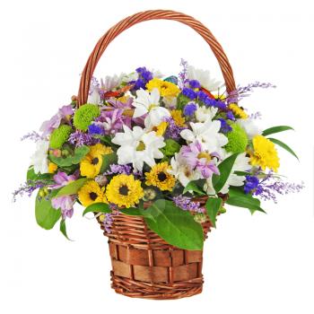 Bouquet from gerbera flowers in wicker gift basket isolated on white background. 