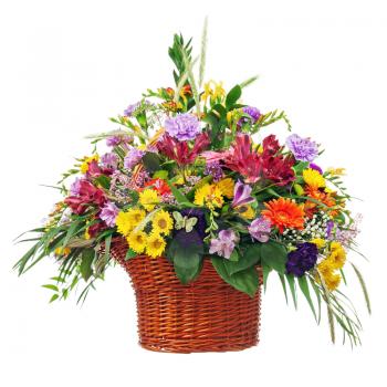 Colorful Flower Bouquet Arrangement Centerpiece in Basket Isolated on White Background. Closeup.
