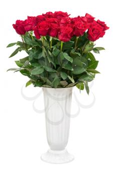 Flower Bouquet from Red Roses in White Vase Isolated on White Background. Closeup.