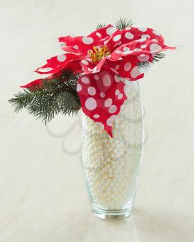 Composition from Poinsettia Plant with spruce branches in glass vase on wooden background. Closeup.
