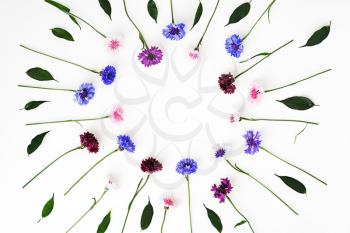 Pattern with petals of wildflowers on white background. Overhead view. Flat lay.