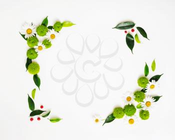 Wreath frame from chamomile and chrysanthemum flowers, ficus leaves and ripe rowan on white background. Overhead view. Flat lay.
