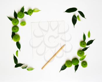 Paper and pencil with decoration of chrysanthemum flowers and ficus leaves on white background. Overhead view. Flat lay.