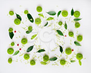Pattern with petals of chrysanthemum flowers, ficus leaves and ripe rowan on white background. Overhead view. Flat lay.