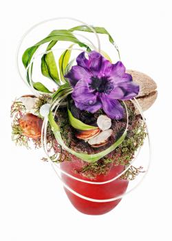 Abstract composition from coconut, flower, rocks and vines arrangement centerpiece in vase isolated on white background.