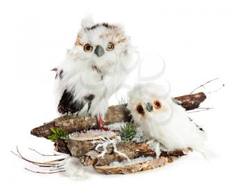 Two owls on a wooden base with snow, pine needles and snowflakes. Completely handmade.