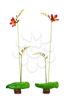 Abstract composition of freesia and sweet green pepper on a wooden stand isolated on white background.