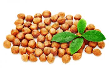 Heap of fresh shelled hazelnuts with green leaves isolated on white background. Close-up. 