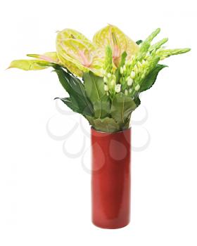 Bouquet from anturium flowers in red vase isolated on white background. Closeup.