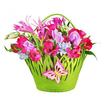 Colorful flower bouquet arrangement centerpiece in baby basket isolated on white background. Closeup.