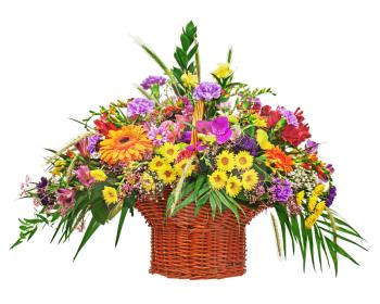 Flower bouquet arrangement centerpiece in wicker basket isolated on white background. Closeup.