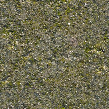 Ancient Mossy Wall. Seamless Tileable Texture.