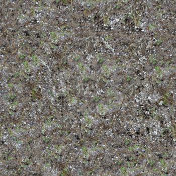 Seamless Texture of Sandy Strip of Coastal Land with Pebbles, Shells and Green Herbs.