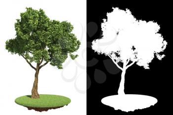 Green Garden Tree  Isolated on White Background with Detail Raster Mask.