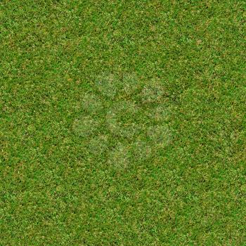Seamless Tileable Texture of Green Meadow Grass.