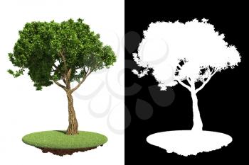 Green Tree Isolated on White Background with Detail Raster Mask.