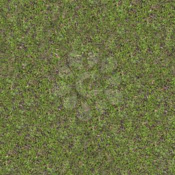 Green Meadow Grass in Early Spring. Seamless Tileable Texture.