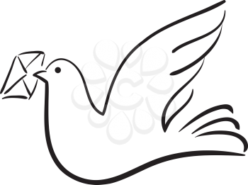 Dove with letter, vector illustration 