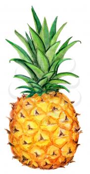 Pineapple.  Isolated on a white background. Watercolor handwork illustration of tropical fruit. Hand drawn painting with orange yellow green white dominant color