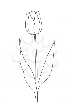 Beautiful tulip flower. Line art concept design. Continuous line drawing. Stylized flower symbol. Vector illustration.