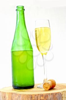  champagne bottle and glass over white