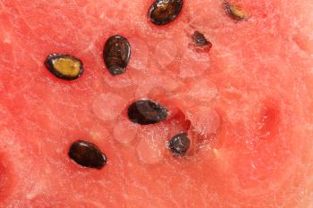 Macro shot of a watermelon with its seeds