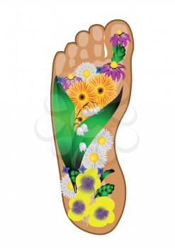foot with flowers isolated on white background