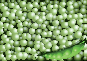 background with green peas in 10 EPS