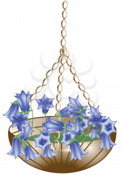 hanging basket with flowers isolated on white