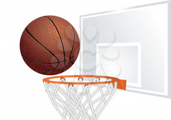 basketball and basket. ball falls through a basket