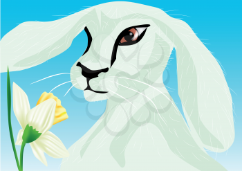 animal springtime. rabbit and flower against the sky